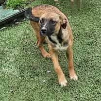 Thumbnail photo of Denim #2