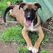 Thumbnail photo of Denim #3