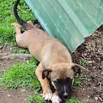 Thumbnail photo of Denim #4