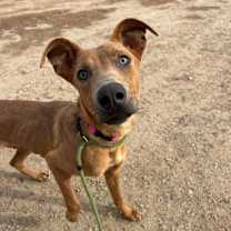 Thumbnail photo of Bookworm #3