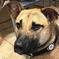 Thumbnail photo of Mark #3