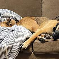 Thumbnail photo of Mark #4