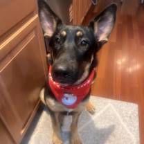 Thumbnail photo of Nala #1