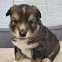 Thumbnail photo of Mateo #1