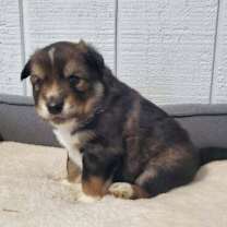 Thumbnail photo of Mateo #2