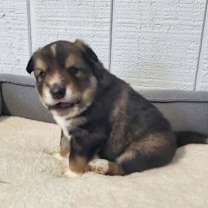 Thumbnail photo of Mateo #3