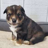 Thumbnail photo of Mateo #4