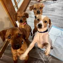 Thumbnail photo of Elton #2