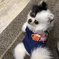 Thumbnail photo of Lucy #1