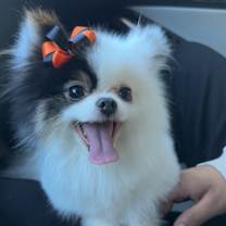 Thumbnail photo of Lucy #2