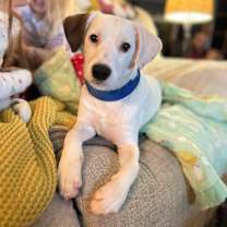 Thumbnail photo of Charlie  #1