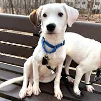 Thumbnail photo of Charlie  #2