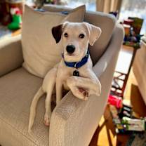 Thumbnail photo of Charlie  #4