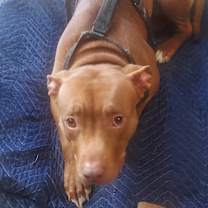 Thumbnail photo of LaLa #2