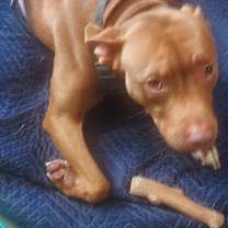 Thumbnail photo of LaLa #3