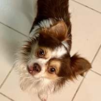 Thumbnail photo of Jack Frost #1