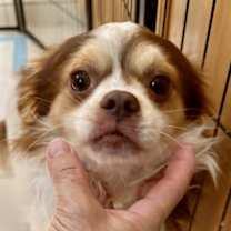 Thumbnail photo of Jack Frost #2