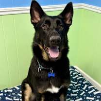 Thumbnail photo of Chaz #1