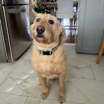 Thumbnail photo of Mason #1