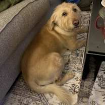 Thumbnail photo of Mason #3