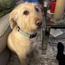 Thumbnail photo of Mason #4