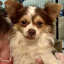 Thumbnail photo of Jack Frost #3