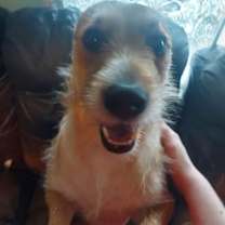 Thumbnail photo of Jack #1