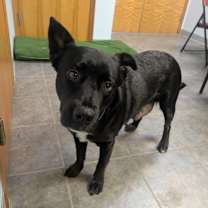 Thumbnail photo of Elizabeth #1