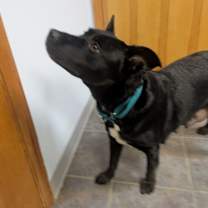 Thumbnail photo of Elizabeth #2