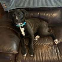 Thumbnail photo of Gracie McWaggle #2