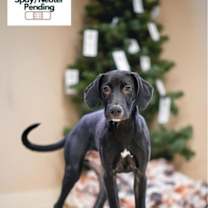 Thumbnail photo of Jingle #1