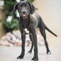 Thumbnail photo of Gumdrop #2