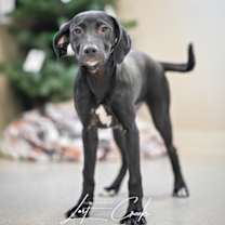 Thumbnail photo of Gumdrop #3