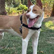 Thumbnail photo of Pewder #3