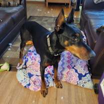 Thumbnail photo of Luna #1