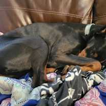 Thumbnail photo of Luna #3