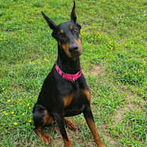 Thumbnail photo of Luna #4