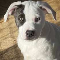 Thumbnail photo of Frack #1