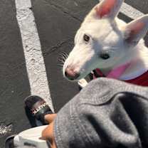 Thumbnail photo of Purity #1