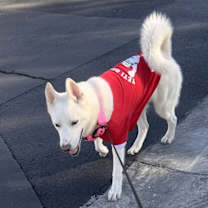 Thumbnail photo of Purity #2