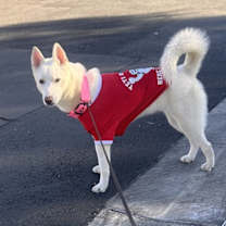 Thumbnail photo of Purity #3