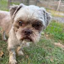 Thumbnail photo of Benny Jett #3