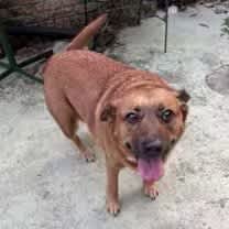 Thumbnail photo of JoJo #1