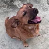 Thumbnail photo of JoJo #2