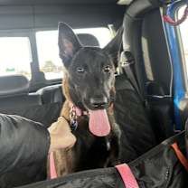 Thumbnail photo of Mayve #2