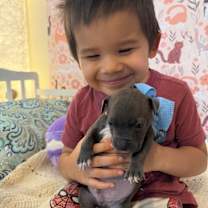 Thumbnail photo of George Beatle #3