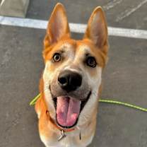 Thumbnail photo of Charlie #2