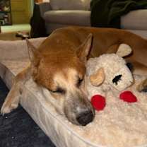 Thumbnail photo of Charlie #4