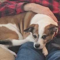 Thumbnail photo of Sara #3