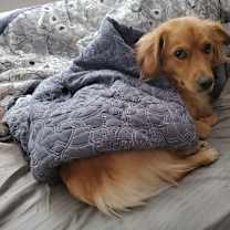 Thumbnail photo of Renly #4